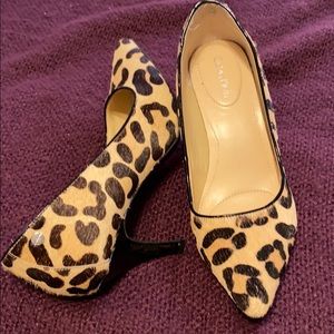 Leopard print pumps